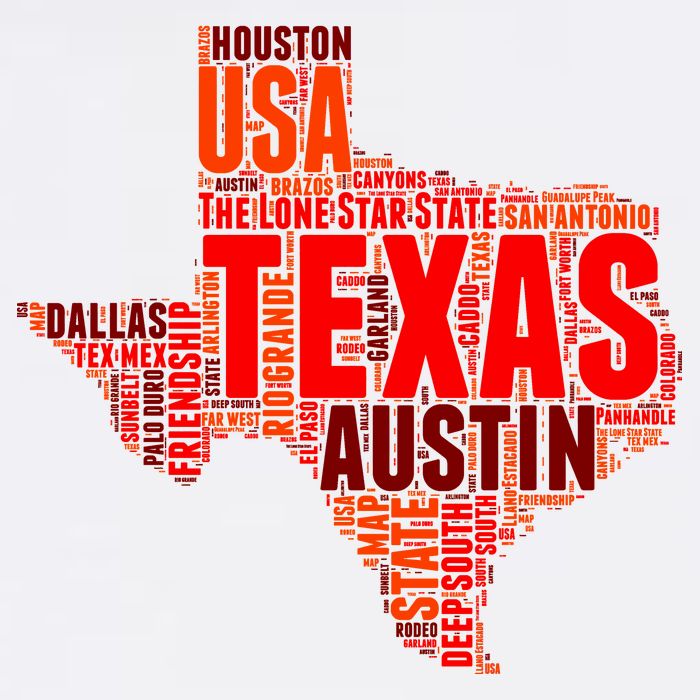 Texas State Word Map Bucket Hat