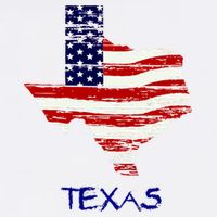 Texas USA Flag Cooling Performance Crew T-Shirt