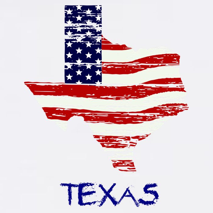 Texas USA Flag Cooling Performance Crew T-Shirt