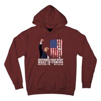 Trump Fight 2024 Butler Pennsylvania Assasination Attempt Hoodie