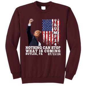 Trump Fight 2024 Butler Pennsylvania Assasination Attempt Tall Sweatshirt