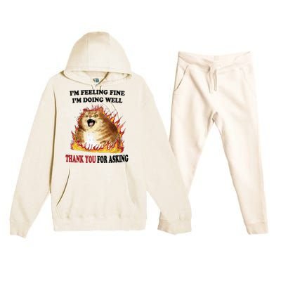 Ty For Asking Premium Hooded Sweatsuit Set