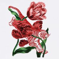 Tiger Flower Art Full Zip Hoodie