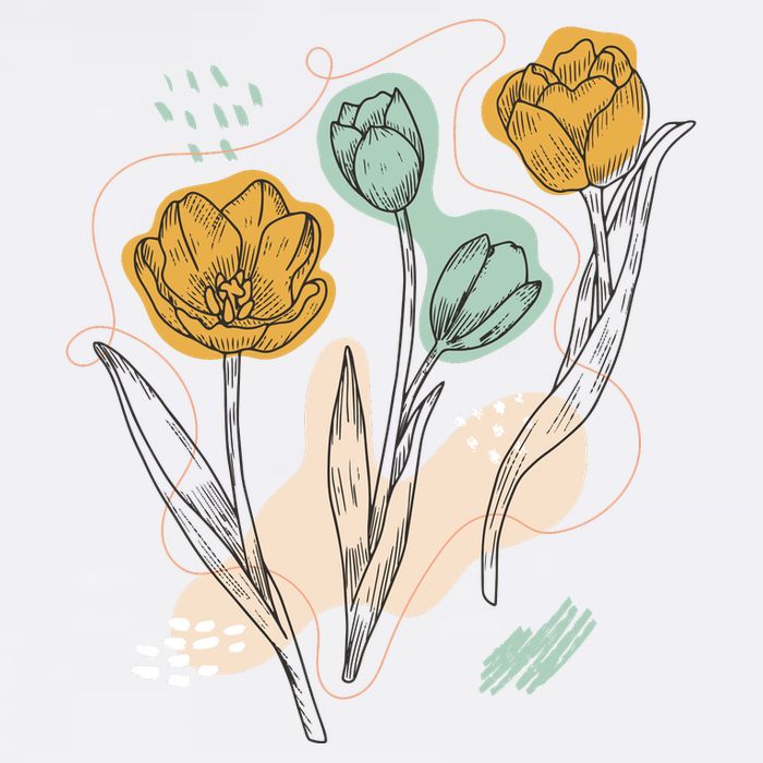 Tulip Flowers Abstract T-Shirt
