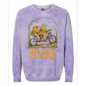 The Frog And The Toad Are Gay, Do Crime, Funny Graphic Colorblast Crewneck Sweatshirt