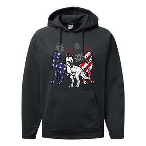 Trex Fireworks American Dino 4th Of July Boy Performance Fleece Hoodie