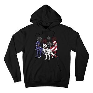 Trex Fireworks American Dino 4th Of July Boy Hoodie