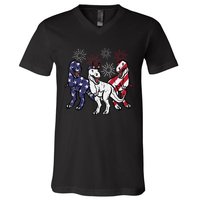 Trex Fireworks American Dino 4th Of July Boy V-Neck T-Shirt