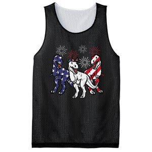 Trex Fireworks American Dino 4th Of July Boy Mesh Reversible Basketball Jersey Tank