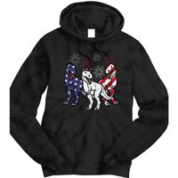 Trex Fireworks American Dino 4th Of July Boy Tie Dye Hoodie