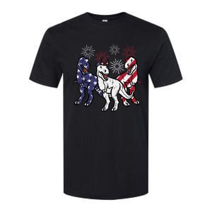 Trex Fireworks American Dino 4th Of July Boy Softstyle CVC T-Shirt