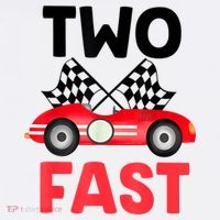 Two Fast Birthday Shirt 2 Fast 2 Curious Decorations 2nd Flatbill Hat
