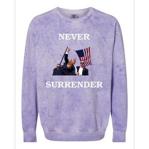 Trump Fist Bump In Air Never Surrender 2024 Colorblast Crewneck Sweatshirt