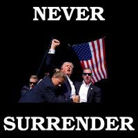 Trump Fist Bump In Air Never Surrender 2024 7-Panel Snapback Hat