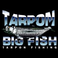 Tarpon Fishing Big Fish Poster
