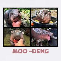 The Famous Baby Pigmy Hippo Moodeng Cooling Performance Crew T-Shirt
