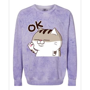 The Fat Cat, Ami Fat Cat OKOK, Funny Cat Colorblast Crewneck Sweatshirt