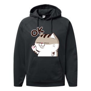 The Fat Cat, Ami Fat Cat OKOK, Funny Cat Performance Fleece Hoodie