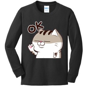 The Fat Cat, Ami Fat Cat OKOK, Funny Cat Kids Long Sleeve Shirt