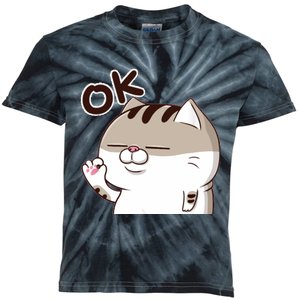 The Fat Cat, Ami Fat Cat OKOK, Funny Cat Kids Tie-Dye T-Shirt