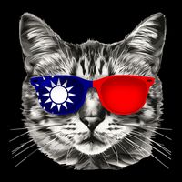 Taiwanese Flag Cat Owner Souvenirs T-Shirt