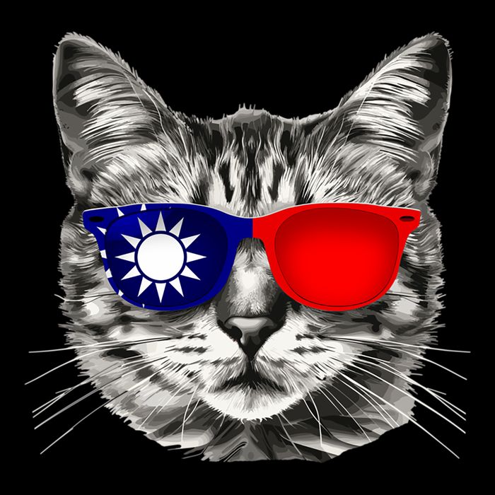 Taiwanese Flag Cat Owner Souvenirs T-Shirt