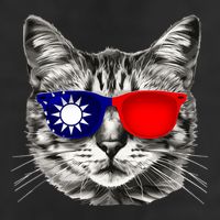 Taiwanese Flag Cat Owner Souvenirs Trucker Hat