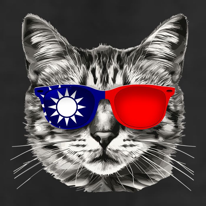 Taiwanese Flag Cat Owner Souvenirs Trucker Hat