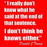 Trump Funny Dont Know What He Said At The End Of That Sentence Poster