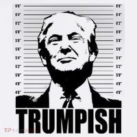 Trumpish Funny Donald Trump Mugshot T-Shirt