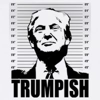 Trumpish Funny Donald Trump Mugshot Trucker Hat