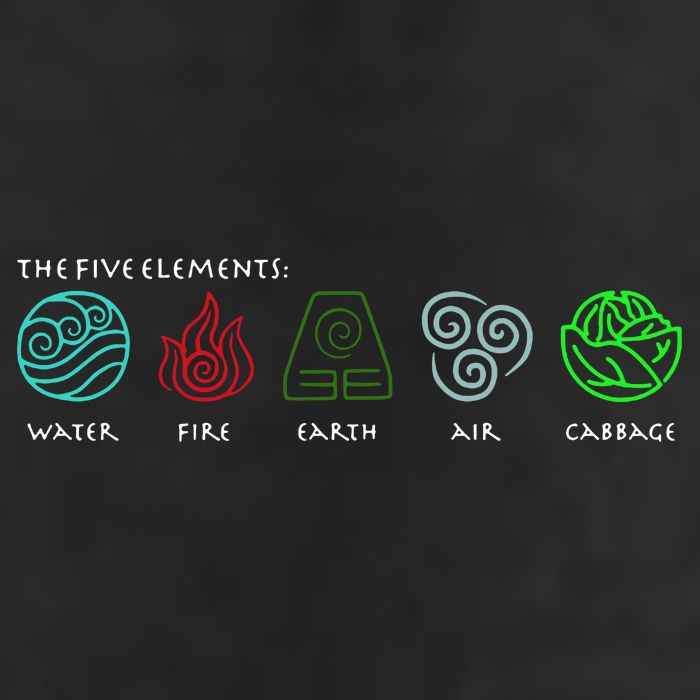 The Five Elements Avatar Tumbler