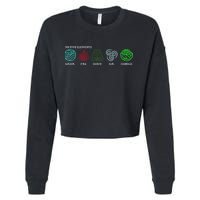 The Five Elements Avatar Cropped Pullover Crew