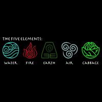 The Five Elements Avatar Cropped Pullover Crew