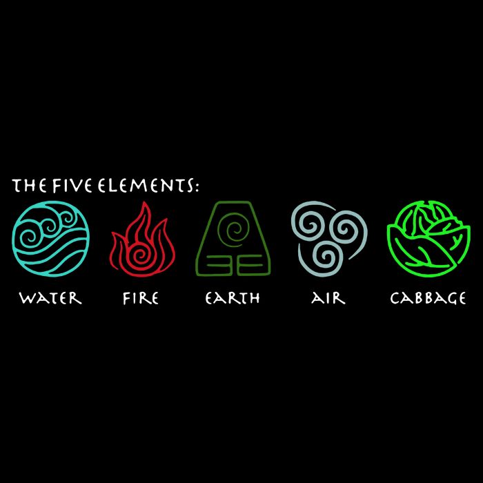 The Five Elements Avatar Cropped Pullover Crew