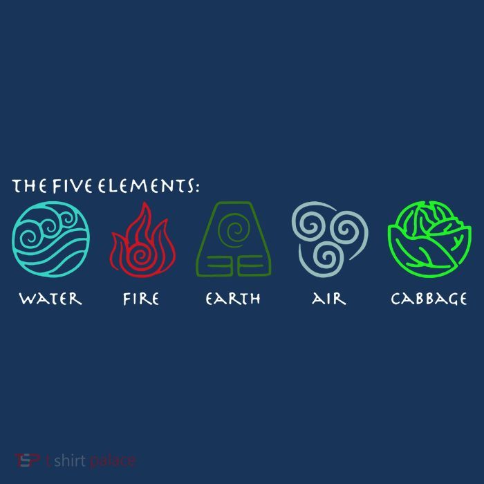 The Five Elements Avatar T-Shirt