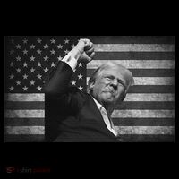 Trump Fight For Freedom 2024 Patriot T-Shirt