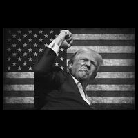 Trump Fight For Freedom 2024 Patriot Bucket Hat