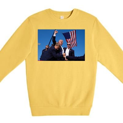 Trump Fight Fight Fight 2024 Save America Premium Crewneck Sweatshirt