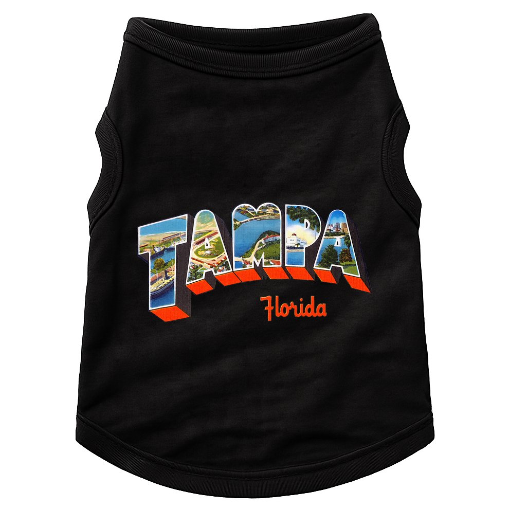 Tampa Florida Fl Doggie Tank