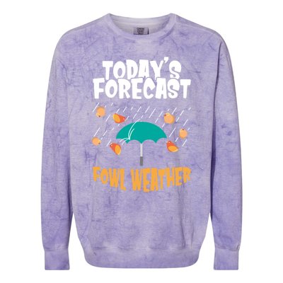 Today's Forecast Fowl Weather Cute Gift Meteorologist Bird Day Gift Cute Gift Colorblast Crewneck Sweatshirt