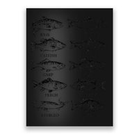Types Freshwater Fish Funny Fisherman Poster