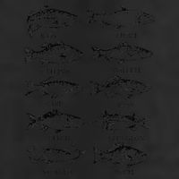Types Freshwater Fish Funny Fisherman Golf Towel