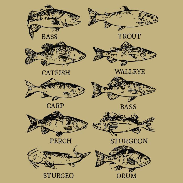 Types Freshwater Fish Funny Fisherman Long Sleeve Shirt