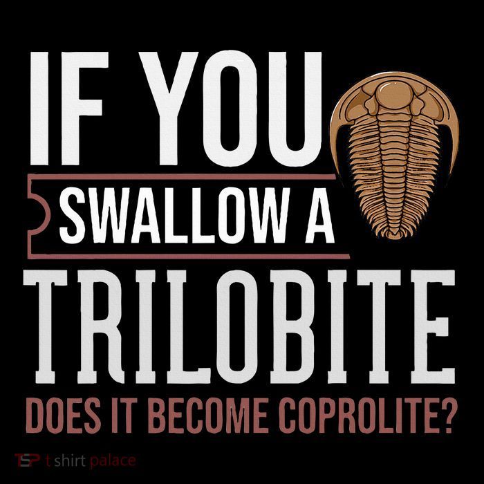 Trilobite Fossil Gift Future Paleontologist Womens T-Shirt