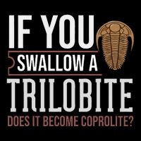 Trilobite Fossil Gift Future Paleontologist Zip Tote Bag
