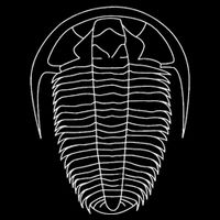 Trilobite  Fossil  Geology Geologist Rockhound Button