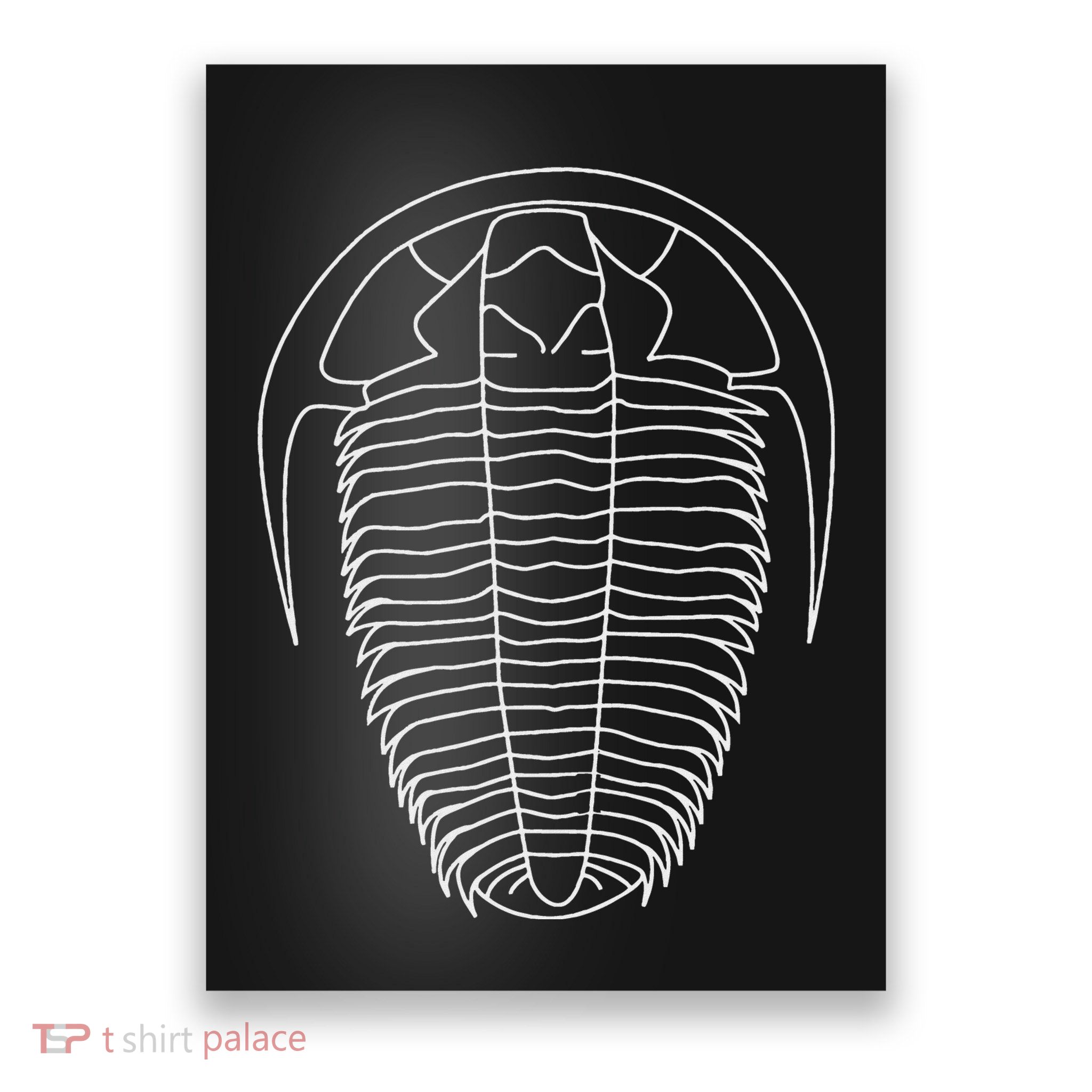 Trilobite  Fossil  Geology Geologist Rockhound Poster