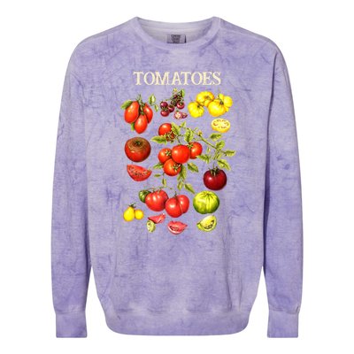 Tomatoes Funny Gardener Garden Gardening Tomato Botanical Meaningful Gift Colorblast Crewneck Sweatshirt