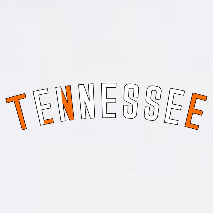 Tennessee Finesse Hip Hop Gift Womens Tank Top